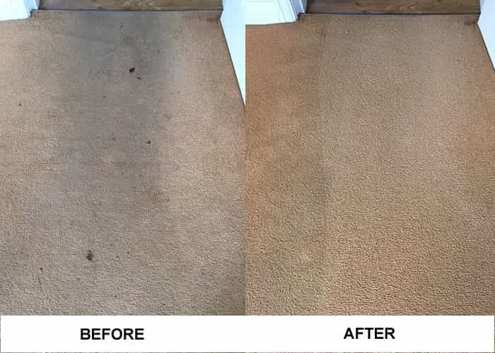 Cleaned Carpets